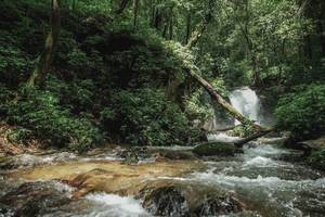 BIB: 
                            <button type="button" onclick="openModal(25004280)" class="btn btn-primary btn-sm float-right btn-popup" data-toggle="modal" data-target=".modal-high-quality">
                        <i class="fas fa-shopping-cart"></i> Add to Cart
                    </button>
                                            <button type="button" onclick="isThisMe(25004280, true)" class="btn btn-success btn-sm float-right btn-popup btn-isme hidden" data-toggle="tooltip" data-placement="bottom" title="นี่คือรูปของคุณใช่ไหม คลิกที่นี่เพื่อเอาเข้าอัลบั้ม">
                        <i class="fas fa-plus"></i> Add to album
                    </button>
                    <button type="button" onclick="isThisMe(25004280, false)" class="btn btn-warning btn-sm float-right btn-popup btn-isnotme hidden">
                        <i class="fas fa-ban"></i> Remove from album
                    </button>