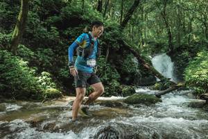 BIB: 
                            <button type="button" onclick="openModal(25005155)" class="btn btn-primary btn-sm float-right btn-popup" data-toggle="modal" data-target=".modal-high-quality">
                        <i class="fas fa-shopping-cart"></i> Add to Cart
                    </button>
                                            <button type="button" onclick="isThisMe(25005155, true)" class="btn btn-success btn-sm float-right btn-popup btn-isme hidden" data-toggle="tooltip" data-placement="bottom" title="นี่คือรูปของคุณใช่ไหม คลิกที่นี่เพื่อเอาเข้าอัลบั้ม">
                        <i class="fas fa-plus"></i> Add to album
                    </button>
                    <button type="button" onclick="isThisMe(25005155, false)" class="btn btn-warning btn-sm float-right btn-popup btn-isnotme hidden">
                        <i class="fas fa-ban"></i> Remove from album
                    </button>