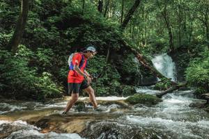 BIB: 
                            <button type="button" onclick="openModal(25005198)" class="btn btn-primary btn-sm float-right btn-popup" data-toggle="modal" data-target=".modal-high-quality">
                        <i class="fas fa-shopping-cart"></i> Add to Cart
                    </button>
                                            <button type="button" onclick="isThisMe(25005198, true)" class="btn btn-success btn-sm float-right btn-popup btn-isme hidden" data-toggle="tooltip" data-placement="bottom" title="นี่คือรูปของคุณใช่ไหม คลิกที่นี่เพื่อเอาเข้าอัลบั้ม">
                        <i class="fas fa-plus"></i> Add to album
                    </button>
                    <button type="button" onclick="isThisMe(25005198, false)" class="btn btn-warning btn-sm float-right btn-popup btn-isnotme hidden">
                        <i class="fas fa-ban"></i> Remove from album
                    </button>