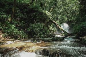 BIB: 
                            <button type="button" onclick="openModal(25004260)" class="btn btn-primary btn-sm float-right btn-popup" data-toggle="modal" data-target=".modal-high-quality">
                        <i class="fas fa-shopping-cart"></i> Add to Cart
                    </button>
                                            <button type="button" onclick="isThisMe(25004260, true)" class="btn btn-success btn-sm float-right btn-popup btn-isme hidden" data-toggle="tooltip" data-placement="bottom" title="นี่คือรูปของคุณใช่ไหม คลิกที่นี่เพื่อเอาเข้าอัลบั้ม">
                        <i class="fas fa-plus"></i> Add to album
                    </button>
                    <button type="button" onclick="isThisMe(25004260, false)" class="btn btn-warning btn-sm float-right btn-popup btn-isnotme hidden">
                        <i class="fas fa-ban"></i> Remove from album
                    </button>