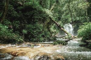 BIB: 
                            <button type="button" onclick="openModal(25004329)" class="btn btn-primary btn-sm float-right btn-popup" data-toggle="modal" data-target=".modal-high-quality">
                        <i class="fas fa-shopping-cart"></i> Add to Cart
                    </button>
                                            <button type="button" onclick="isThisMe(25004329, true)" class="btn btn-success btn-sm float-right btn-popup btn-isme hidden" data-toggle="tooltip" data-placement="bottom" title="นี่คือรูปของคุณใช่ไหม คลิกที่นี่เพื่อเอาเข้าอัลบั้ม">
                        <i class="fas fa-plus"></i> Add to album
                    </button>
                    <button type="button" onclick="isThisMe(25004329, false)" class="btn btn-warning btn-sm float-right btn-popup btn-isnotme hidden">
                        <i class="fas fa-ban"></i> Remove from album
                    </button>