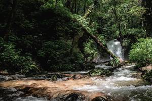 BIB: 
                            <button type="button" onclick="openModal(25004358)" class="btn btn-primary btn-sm float-right btn-popup" data-toggle="modal" data-target=".modal-high-quality">
                        <i class="fas fa-shopping-cart"></i> Add to Cart
                    </button>
                                            <button type="button" onclick="isThisMe(25004358, true)" class="btn btn-success btn-sm float-right btn-popup btn-isme hidden" data-toggle="tooltip" data-placement="bottom" title="นี่คือรูปของคุณใช่ไหม คลิกที่นี่เพื่อเอาเข้าอัลบั้ม">
                        <i class="fas fa-plus"></i> Add to album
                    </button>
                    <button type="button" onclick="isThisMe(25004358, false)" class="btn btn-warning btn-sm float-right btn-popup btn-isnotme hidden">
                        <i class="fas fa-ban"></i> Remove from album
                    </button>