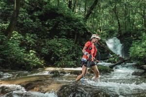 BIB: 
                            <button type="button" onclick="openModal(25005195)" class="btn btn-primary btn-sm float-right btn-popup" data-toggle="modal" data-target=".modal-high-quality">
                        <i class="fas fa-shopping-cart"></i> Add to Cart
                    </button>
                                            <button type="button" onclick="isThisMe(25005195, true)" class="btn btn-success btn-sm float-right btn-popup btn-isme hidden" data-toggle="tooltip" data-placement="bottom" title="นี่คือรูปของคุณใช่ไหม คลิกที่นี่เพื่อเอาเข้าอัลบั้ม">
                        <i class="fas fa-plus"></i> Add to album
                    </button>
                    <button type="button" onclick="isThisMe(25005195, false)" class="btn btn-warning btn-sm float-right btn-popup btn-isnotme hidden">
                        <i class="fas fa-ban"></i> Remove from album
                    </button>