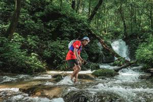 BIB: 
                            <button type="button" onclick="openModal(25005201)" class="btn btn-primary btn-sm float-right btn-popup" data-toggle="modal" data-target=".modal-high-quality">
                        <i class="fas fa-shopping-cart"></i> Add to Cart
                    </button>
                                            <button type="button" onclick="isThisMe(25005201, true)" class="btn btn-success btn-sm float-right btn-popup btn-isme hidden" data-toggle="tooltip" data-placement="bottom" title="นี่คือรูปของคุณใช่ไหม คลิกที่นี่เพื่อเอาเข้าอัลบั้ม">
                        <i class="fas fa-plus"></i> Add to album
                    </button>
                    <button type="button" onclick="isThisMe(25005201, false)" class="btn btn-warning btn-sm float-right btn-popup btn-isnotme hidden">
                        <i class="fas fa-ban"></i> Remove from album
                    </button>