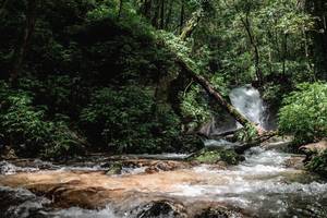 BIB: 
                            <button type="button" onclick="openModal(25004357)" class="btn btn-primary btn-sm float-right btn-popup" data-toggle="modal" data-target=".modal-high-quality">
                        <i class="fas fa-shopping-cart"></i> Add to Cart
                    </button>
                                            <button type="button" onclick="isThisMe(25004357, true)" class="btn btn-success btn-sm float-right btn-popup btn-isme hidden" data-toggle="tooltip" data-placement="bottom" title="นี่คือรูปของคุณใช่ไหม คลิกที่นี่เพื่อเอาเข้าอัลบั้ม">
                        <i class="fas fa-plus"></i> Add to album
                    </button>
                    <button type="button" onclick="isThisMe(25004357, false)" class="btn btn-warning btn-sm float-right btn-popup btn-isnotme hidden">
                        <i class="fas fa-ban"></i> Remove from album
                    </button>