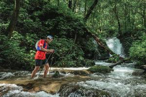 BIB: 
                            <button type="button" onclick="openModal(25005197)" class="btn btn-primary btn-sm float-right btn-popup" data-toggle="modal" data-target=".modal-high-quality">
                        <i class="fas fa-shopping-cart"></i> Add to Cart
                    </button>
                                            <button type="button" onclick="isThisMe(25005197, true)" class="btn btn-success btn-sm float-right btn-popup btn-isme hidden" data-toggle="tooltip" data-placement="bottom" title="นี่คือรูปของคุณใช่ไหม คลิกที่นี่เพื่อเอาเข้าอัลบั้ม">
                        <i class="fas fa-plus"></i> Add to album
                    </button>
                    <button type="button" onclick="isThisMe(25005197, false)" class="btn btn-warning btn-sm float-right btn-popup btn-isnotme hidden">
                        <i class="fas fa-ban"></i> Remove from album
                    </button>