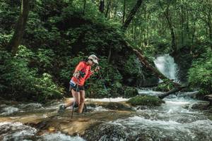 BIB: 
                            <button type="button" onclick="openModal(25005184)" class="btn btn-primary btn-sm float-right btn-popup" data-toggle="modal" data-target=".modal-high-quality">
                        <i class="fas fa-shopping-cart"></i> Add to Cart
                    </button>
                                            <button type="button" onclick="isThisMe(25005184, true)" class="btn btn-success btn-sm float-right btn-popup btn-isme hidden" data-toggle="tooltip" data-placement="bottom" title="นี่คือรูปของคุณใช่ไหม คลิกที่นี่เพื่อเอาเข้าอัลบั้ม">
                        <i class="fas fa-plus"></i> Add to album
                    </button>
                    <button type="button" onclick="isThisMe(25005184, false)" class="btn btn-warning btn-sm float-right btn-popup btn-isnotme hidden">
                        <i class="fas fa-ban"></i> Remove from album
                    </button>