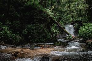 BIB: 
                            <button type="button" onclick="openModal(25004356)" class="btn btn-primary btn-sm float-right btn-popup" data-toggle="modal" data-target=".modal-high-quality">
                        <i class="fas fa-shopping-cart"></i> Add to Cart
                    </button>
                                            <button type="button" onclick="isThisMe(25004356, true)" class="btn btn-success btn-sm float-right btn-popup btn-isme hidden" data-toggle="tooltip" data-placement="bottom" title="นี่คือรูปของคุณใช่ไหม คลิกที่นี่เพื่อเอาเข้าอัลบั้ม">
                        <i class="fas fa-plus"></i> Add to album
                    </button>
                    <button type="button" onclick="isThisMe(25004356, false)" class="btn btn-warning btn-sm float-right btn-popup btn-isnotme hidden">
                        <i class="fas fa-ban"></i> Remove from album
                    </button>