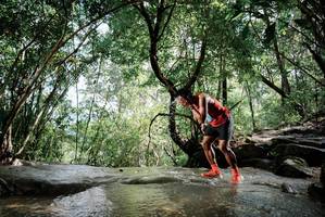 BIB: 
                            <button type="button" onclick="openModal(24992143)" class="btn btn-primary btn-sm float-right btn-popup" data-toggle="modal" data-target=".modal-high-quality">
                        <i class="fas fa-shopping-cart"></i> Add to Cart
                    </button>
                                            <button type="button" onclick="isThisMe(24992143, true)" class="btn btn-success btn-sm float-right btn-popup btn-isme hidden" data-toggle="tooltip" data-placement="bottom" title="นี่คือรูปของคุณใช่ไหม คลิกที่นี่เพื่อเอาเข้าอัลบั้ม">
                        <i class="fas fa-plus"></i> Add to album
                    </button>
                    <button type="button" onclick="isThisMe(24992143, false)" class="btn btn-warning btn-sm float-right btn-popup btn-isnotme hidden">
                        <i class="fas fa-ban"></i> Remove from album
                    </button>