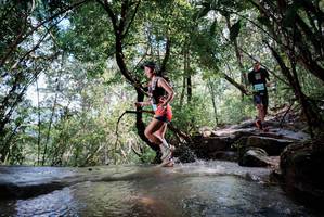 BIB: 
                            <button type="button" onclick="openModal(24992205)" class="btn btn-primary btn-sm float-right btn-popup" data-toggle="modal" data-target=".modal-high-quality">
                        <i class="fas fa-shopping-cart"></i> Add to Cart
                    </button>
                                            <button type="button" onclick="isThisMe(24992205, true)" class="btn btn-success btn-sm float-right btn-popup btn-isme hidden" data-toggle="tooltip" data-placement="bottom" title="นี่คือรูปของคุณใช่ไหม คลิกที่นี่เพื่อเอาเข้าอัลบั้ม">
                        <i class="fas fa-plus"></i> Add to album
                    </button>
                    <button type="button" onclick="isThisMe(24992205, false)" class="btn btn-warning btn-sm float-right btn-popup btn-isnotme hidden">
                        <i class="fas fa-ban"></i> Remove from album
                    </button>