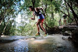 BIB: 
                            <button type="button" onclick="openModal(24992400)" class="btn btn-primary btn-sm float-right btn-popup" data-toggle="modal" data-target=".modal-high-quality">
                        <i class="fas fa-shopping-cart"></i> Add to Cart
                    </button>
                                            <button type="button" onclick="isThisMe(24992400, true)" class="btn btn-success btn-sm float-right btn-popup btn-isme hidden" data-toggle="tooltip" data-placement="bottom" title="นี่คือรูปของคุณใช่ไหม คลิกที่นี่เพื่อเอาเข้าอัลบั้ม">
                        <i class="fas fa-plus"></i> Add to album
                    </button>
                    <button type="button" onclick="isThisMe(24992400, false)" class="btn btn-warning btn-sm float-right btn-popup btn-isnotme hidden">
                        <i class="fas fa-ban"></i> Remove from album
                    </button>