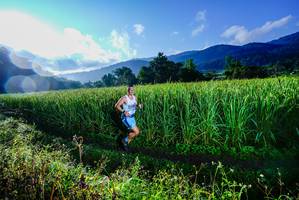 BIB: 
                            <button type="button" onclick="openModal(25037565)" class="btn btn-primary btn-sm float-right btn-popup" data-toggle="modal" data-target=".modal-high-quality">
                        <i class="fas fa-shopping-cart"></i> Add to Cart
                    </button>
                                            <button type="button" onclick="isThisMe(25037565, true)" class="btn btn-success btn-sm float-right btn-popup btn-isme hidden" data-toggle="tooltip" data-placement="bottom" title="นี่คือรูปของคุณใช่ไหม คลิกที่นี่เพื่อเอาเข้าอัลบั้ม">
                        <i class="fas fa-plus"></i> Add to album
                    </button>
                    <button type="button" onclick="isThisMe(25037565, false)" class="btn btn-warning btn-sm float-right btn-popup btn-isnotme hidden">
                        <i class="fas fa-ban"></i> Remove from album
                    </button>