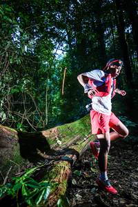 BIB: 
                            <button type="button" onclick="openModal(25039730)" class="btn btn-primary btn-sm float-right btn-popup" data-toggle="modal" data-target=".modal-high-quality">
                        <i class="fas fa-shopping-cart"></i> Add to Cart
                    </button>
                                            <button type="button" onclick="isThisMe(25039730, true)" class="btn btn-success btn-sm float-right btn-popup btn-isme hidden" data-toggle="tooltip" data-placement="bottom" title="นี่คือรูปของคุณใช่ไหม คลิกที่นี่เพื่อเอาเข้าอัลบั้ม">
                        <i class="fas fa-plus"></i> Add to album
                    </button>
                    <button type="button" onclick="isThisMe(25039730, false)" class="btn btn-warning btn-sm float-right btn-popup btn-isnotme hidden">
                        <i class="fas fa-ban"></i> Remove from album
                    </button>