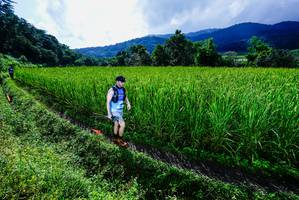 BIB: 
                            <button type="button" onclick="openModal(25039217)" class="btn btn-primary btn-sm float-right btn-popup" data-toggle="modal" data-target=".modal-high-quality">
                        <i class="fas fa-shopping-cart"></i> Add to Cart
                    </button>
                                            <button type="button" onclick="isThisMe(25039217, true)" class="btn btn-success btn-sm float-right btn-popup btn-isme hidden" data-toggle="tooltip" data-placement="bottom" title="นี่คือรูปของคุณใช่ไหม คลิกที่นี่เพื่อเอาเข้าอัลบั้ม">
                        <i class="fas fa-plus"></i> Add to album
                    </button>
                    <button type="button" onclick="isThisMe(25039217, false)" class="btn btn-warning btn-sm float-right btn-popup btn-isnotme hidden">
                        <i class="fas fa-ban"></i> Remove from album
                    </button>