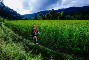 BIB: 
                            <button type="button" onclick="openModal(25038719)" class="btn btn-primary btn-sm float-right btn-popup" data-toggle="modal" data-target=".modal-high-quality">
                        <i class="fas fa-shopping-cart"></i> Add to Cart
                    </button>
                                            <button type="button" onclick="isThisMe(25038719, true)" class="btn btn-success btn-sm float-right btn-popup btn-isme hidden" data-toggle="tooltip" data-placement="bottom" title="นี่คือรูปของคุณใช่ไหม คลิกที่นี่เพื่อเอาเข้าอัลบั้ม">
                        <i class="fas fa-plus"></i> Add to album
                    </button>
                    <button type="button" onclick="isThisMe(25038719, false)" class="btn btn-warning btn-sm float-right btn-popup btn-isnotme hidden">
                        <i class="fas fa-ban"></i> Remove from album
                    </button>