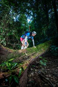 BIB: 
                            <button type="button" onclick="openModal(25039805)" class="btn btn-primary btn-sm float-right btn-popup" data-toggle="modal" data-target=".modal-high-quality">
                        <i class="fas fa-shopping-cart"></i> Add to Cart
                    </button>
                                            <button type="button" onclick="isThisMe(25039805, true)" class="btn btn-success btn-sm float-right btn-popup btn-isme hidden" data-toggle="tooltip" data-placement="bottom" title="นี่คือรูปของคุณใช่ไหม คลิกที่นี่เพื่อเอาเข้าอัลบั้ม">
                        <i class="fas fa-plus"></i> Add to album
                    </button>
                    <button type="button" onclick="isThisMe(25039805, false)" class="btn btn-warning btn-sm float-right btn-popup btn-isnotme hidden">
                        <i class="fas fa-ban"></i> Remove from album
                    </button>