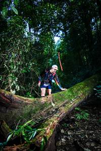 BIB: 
                            <button type="button" onclick="openModal(25039697)" class="btn btn-primary btn-sm float-right btn-popup" data-toggle="modal" data-target=".modal-high-quality">
                        <i class="fas fa-shopping-cart"></i> Add to Cart
                    </button>
                                            <button type="button" onclick="isThisMe(25039697, true)" class="btn btn-success btn-sm float-right btn-popup btn-isme hidden" data-toggle="tooltip" data-placement="bottom" title="นี่คือรูปของคุณใช่ไหม คลิกที่นี่เพื่อเอาเข้าอัลบั้ม">
                        <i class="fas fa-plus"></i> Add to album
                    </button>
                    <button type="button" onclick="isThisMe(25039697, false)" class="btn btn-warning btn-sm float-right btn-popup btn-isnotme hidden">
                        <i class="fas fa-ban"></i> Remove from album
                    </button>