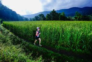 BIB: 
                            <button type="button" onclick="openModal(25037699)" class="btn btn-primary btn-sm float-right btn-popup" data-toggle="modal" data-target=".modal-high-quality">
                        <i class="fas fa-shopping-cart"></i> Add to Cart
                    </button>
                                            <button type="button" onclick="isThisMe(25037699, true)" class="btn btn-success btn-sm float-right btn-popup btn-isme hidden" data-toggle="tooltip" data-placement="bottom" title="นี่คือรูปของคุณใช่ไหม คลิกที่นี่เพื่อเอาเข้าอัลบั้ม">
                        <i class="fas fa-plus"></i> Add to album
                    </button>
                    <button type="button" onclick="isThisMe(25037699, false)" class="btn btn-warning btn-sm float-right btn-popup btn-isnotme hidden">
                        <i class="fas fa-ban"></i> Remove from album
                    </button>