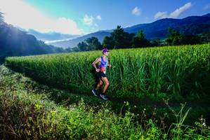 BIB: 
                            <button type="button" onclick="openModal(25037562)" class="btn btn-primary btn-sm float-right btn-popup" data-toggle="modal" data-target=".modal-high-quality">
                        <i class="fas fa-shopping-cart"></i> Add to Cart
                    </button>
                                            <button type="button" onclick="isThisMe(25037562, true)" class="btn btn-success btn-sm float-right btn-popup btn-isme hidden" data-toggle="tooltip" data-placement="bottom" title="นี่คือรูปของคุณใช่ไหม คลิกที่นี่เพื่อเอาเข้าอัลบั้ม">
                        <i class="fas fa-plus"></i> Add to album
                    </button>
                    <button type="button" onclick="isThisMe(25037562, false)" class="btn btn-warning btn-sm float-right btn-popup btn-isnotme hidden">
                        <i class="fas fa-ban"></i> Remove from album
                    </button>