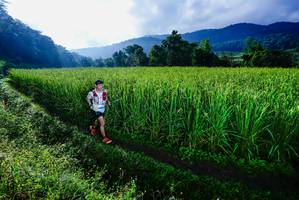 BIB: 
                            <button type="button" onclick="openModal(25037692)" class="btn btn-primary btn-sm float-right btn-popup" data-toggle="modal" data-target=".modal-high-quality">
                        <i class="fas fa-shopping-cart"></i> Add to Cart
                    </button>
                                            <button type="button" onclick="isThisMe(25037692, true)" class="btn btn-success btn-sm float-right btn-popup btn-isme hidden" data-toggle="tooltip" data-placement="bottom" title="นี่คือรูปของคุณใช่ไหม คลิกที่นี่เพื่อเอาเข้าอัลบั้ม">
                        <i class="fas fa-plus"></i> Add to album
                    </button>
                    <button type="button" onclick="isThisMe(25037692, false)" class="btn btn-warning btn-sm float-right btn-popup btn-isnotme hidden">
                        <i class="fas fa-ban"></i> Remove from album
                    </button>