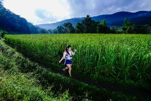 BIB: 
                            <button type="button" onclick="openModal(25037711)" class="btn btn-primary btn-sm float-right btn-popup" data-toggle="modal" data-target=".modal-high-quality">
                        <i class="fas fa-shopping-cart"></i> Add to Cart
                    </button>
                                            <button type="button" onclick="isThisMe(25037711, true)" class="btn btn-success btn-sm float-right btn-popup btn-isme hidden" data-toggle="tooltip" data-placement="bottom" title="นี่คือรูปของคุณใช่ไหม คลิกที่นี่เพื่อเอาเข้าอัลบั้ม">
                        <i class="fas fa-plus"></i> Add to album
                    </button>
                    <button type="button" onclick="isThisMe(25037711, false)" class="btn btn-warning btn-sm float-right btn-popup btn-isnotme hidden">
                        <i class="fas fa-ban"></i> Remove from album
                    </button>