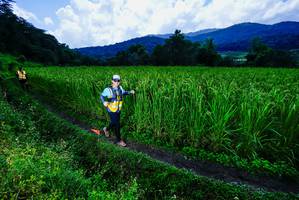 BIB: 
                            <button type="button" onclick="openModal(25039268)" class="btn btn-primary btn-sm float-right btn-popup" data-toggle="modal" data-target=".modal-high-quality">
                        <i class="fas fa-shopping-cart"></i> Add to Cart
                    </button>
                                            <button type="button" onclick="isThisMe(25039268, true)" class="btn btn-success btn-sm float-right btn-popup btn-isme hidden" data-toggle="tooltip" data-placement="bottom" title="นี่คือรูปของคุณใช่ไหม คลิกที่นี่เพื่อเอาเข้าอัลบั้ม">
                        <i class="fas fa-plus"></i> Add to album
                    </button>
                    <button type="button" onclick="isThisMe(25039268, false)" class="btn btn-warning btn-sm float-right btn-popup btn-isnotme hidden">
                        <i class="fas fa-ban"></i> Remove from album
                    </button>