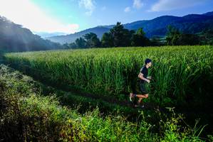 BIB: 
                            <button type="button" onclick="openModal(25037540)" class="btn btn-primary btn-sm float-right btn-popup" data-toggle="modal" data-target=".modal-high-quality">
                        <i class="fas fa-shopping-cart"></i> Add to Cart
                    </button>
                                            <button type="button" onclick="isThisMe(25037540, true)" class="btn btn-success btn-sm float-right btn-popup btn-isme hidden" data-toggle="tooltip" data-placement="bottom" title="นี่คือรูปของคุณใช่ไหม คลิกที่นี่เพื่อเอาเข้าอัลบั้ม">
                        <i class="fas fa-plus"></i> Add to album
                    </button>
                    <button type="button" onclick="isThisMe(25037540, false)" class="btn btn-warning btn-sm float-right btn-popup btn-isnotme hidden">
                        <i class="fas fa-ban"></i> Remove from album
                    </button>