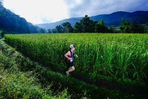 BIB: 
                            <button type="button" onclick="openModal(25037700)" class="btn btn-primary btn-sm float-right btn-popup" data-toggle="modal" data-target=".modal-high-quality">
                        <i class="fas fa-shopping-cart"></i> Add to Cart
                    </button>
                                            <button type="button" onclick="isThisMe(25037700, true)" class="btn btn-success btn-sm float-right btn-popup btn-isme hidden" data-toggle="tooltip" data-placement="bottom" title="นี่คือรูปของคุณใช่ไหม คลิกที่นี่เพื่อเอาเข้าอัลบั้ม">
                        <i class="fas fa-plus"></i> Add to album
                    </button>
                    <button type="button" onclick="isThisMe(25037700, false)" class="btn btn-warning btn-sm float-right btn-popup btn-isnotme hidden">
                        <i class="fas fa-ban"></i> Remove from album
                    </button>