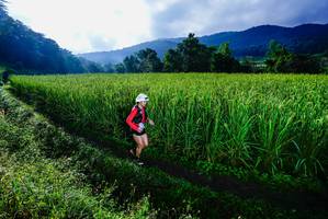 BIB: 
                            <button type="button" onclick="openModal(25037704)" class="btn btn-primary btn-sm float-right btn-popup" data-toggle="modal" data-target=".modal-high-quality">
                        <i class="fas fa-shopping-cart"></i> Add to Cart
                    </button>
                                            <button type="button" onclick="isThisMe(25037704, true)" class="btn btn-success btn-sm float-right btn-popup btn-isme hidden" data-toggle="tooltip" data-placement="bottom" title="นี่คือรูปของคุณใช่ไหม คลิกที่นี่เพื่อเอาเข้าอัลบั้ม">
                        <i class="fas fa-plus"></i> Add to album
                    </button>
                    <button type="button" onclick="isThisMe(25037704, false)" class="btn btn-warning btn-sm float-right btn-popup btn-isnotme hidden">
                        <i class="fas fa-ban"></i> Remove from album
                    </button>