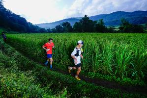 BIB: 
                            <button type="button" onclick="openModal(25037630)" class="btn btn-primary btn-sm float-right btn-popup" data-toggle="modal" data-target=".modal-high-quality">
                        <i class="fas fa-shopping-cart"></i> Add to Cart
                    </button>
                                            <button type="button" onclick="isThisMe(25037630, true)" class="btn btn-success btn-sm float-right btn-popup btn-isme hidden" data-toggle="tooltip" data-placement="bottom" title="นี่คือรูปของคุณใช่ไหม คลิกที่นี่เพื่อเอาเข้าอัลบั้ม">
                        <i class="fas fa-plus"></i> Add to album
                    </button>
                    <button type="button" onclick="isThisMe(25037630, false)" class="btn btn-warning btn-sm float-right btn-popup btn-isnotme hidden">
                        <i class="fas fa-ban"></i> Remove from album
                    </button>