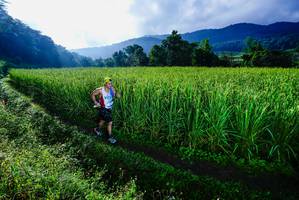 BIB: 
                            <button type="button" onclick="openModal(25037693)" class="btn btn-primary btn-sm float-right btn-popup" data-toggle="modal" data-target=".modal-high-quality">
                        <i class="fas fa-shopping-cart"></i> Add to Cart
                    </button>
                                            <button type="button" onclick="isThisMe(25037693, true)" class="btn btn-success btn-sm float-right btn-popup btn-isme hidden" data-toggle="tooltip" data-placement="bottom" title="นี่คือรูปของคุณใช่ไหม คลิกที่นี่เพื่อเอาเข้าอัลบั้ม">
                        <i class="fas fa-plus"></i> Add to album
                    </button>
                    <button type="button" onclick="isThisMe(25037693, false)" class="btn btn-warning btn-sm float-right btn-popup btn-isnotme hidden">
                        <i class="fas fa-ban"></i> Remove from album
                    </button>