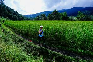 BIB: 
                            <button type="button" onclick="openModal(25039221)" class="btn btn-primary btn-sm float-right btn-popup" data-toggle="modal" data-target=".modal-high-quality">
                        <i class="fas fa-shopping-cart"></i> Add to Cart
                    </button>
                                            <button type="button" onclick="isThisMe(25039221, true)" class="btn btn-success btn-sm float-right btn-popup btn-isme hidden" data-toggle="tooltip" data-placement="bottom" title="นี่คือรูปของคุณใช่ไหม คลิกที่นี่เพื่อเอาเข้าอัลบั้ม">
                        <i class="fas fa-plus"></i> Add to album
                    </button>
                    <button type="button" onclick="isThisMe(25039221, false)" class="btn btn-warning btn-sm float-right btn-popup btn-isnotme hidden">
                        <i class="fas fa-ban"></i> Remove from album
                    </button>