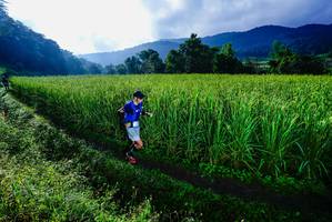 BIB: 
                            <button type="button" onclick="openModal(25037697)" class="btn btn-primary btn-sm float-right btn-popup" data-toggle="modal" data-target=".modal-high-quality">
                        <i class="fas fa-shopping-cart"></i> Add to Cart
                    </button>
                                            <button type="button" onclick="isThisMe(25037697, true)" class="btn btn-success btn-sm float-right btn-popup btn-isme hidden" data-toggle="tooltip" data-placement="bottom" title="นี่คือรูปของคุณใช่ไหม คลิกที่นี่เพื่อเอาเข้าอัลบั้ม">
                        <i class="fas fa-plus"></i> Add to album
                    </button>
                    <button type="button" onclick="isThisMe(25037697, false)" class="btn btn-warning btn-sm float-right btn-popup btn-isnotme hidden">
                        <i class="fas fa-ban"></i> Remove from album
                    </button>