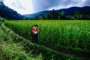 BIB: 
                            <button type="button" onclick="openModal(25038230)" class="btn btn-primary btn-sm float-right btn-popup" data-toggle="modal" data-target=".modal-high-quality">
                        <i class="fas fa-shopping-cart"></i> Add to Cart
                    </button>
                                            <button type="button" onclick="isThisMe(25038230, true)" class="btn btn-success btn-sm float-right btn-popup btn-isme hidden" data-toggle="tooltip" data-placement="bottom" title="นี่คือรูปของคุณใช่ไหม คลิกที่นี่เพื่อเอาเข้าอัลบั้ม">
                        <i class="fas fa-plus"></i> Add to album
                    </button>
                    <button type="button" onclick="isThisMe(25038230, false)" class="btn btn-warning btn-sm float-right btn-popup btn-isnotme hidden">
                        <i class="fas fa-ban"></i> Remove from album
                    </button>