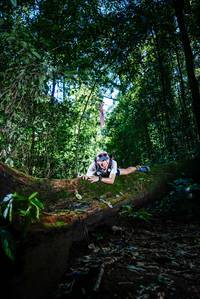 BIB: 
                            <button type="button" onclick="openModal(25039392)" class="btn btn-primary btn-sm float-right btn-popup" data-toggle="modal" data-target=".modal-high-quality">
                        <i class="fas fa-shopping-cart"></i> Add to Cart
                    </button>
                                            <button type="button" onclick="isThisMe(25039392, true)" class="btn btn-success btn-sm float-right btn-popup btn-isme hidden" data-toggle="tooltip" data-placement="bottom" title="นี่คือรูปของคุณใช่ไหม คลิกที่นี่เพื่อเอาเข้าอัลบั้ม">
                        <i class="fas fa-plus"></i> Add to album
                    </button>
                    <button type="button" onclick="isThisMe(25039392, false)" class="btn btn-warning btn-sm float-right btn-popup btn-isnotme hidden">
                        <i class="fas fa-ban"></i> Remove from album
                    </button>