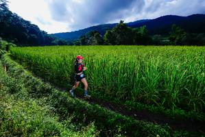 BIB: 
                            <button type="button" onclick="openModal(25038807)" class="btn btn-primary btn-sm float-right btn-popup" data-toggle="modal" data-target=".modal-high-quality">
                        <i class="fas fa-shopping-cart"></i> Add to Cart
                    </button>
                                            <button type="button" onclick="isThisMe(25038807, true)" class="btn btn-success btn-sm float-right btn-popup btn-isme hidden" data-toggle="tooltip" data-placement="bottom" title="นี่คือรูปของคุณใช่ไหม คลิกที่นี่เพื่อเอาเข้าอัลบั้ม">
                        <i class="fas fa-plus"></i> Add to album
                    </button>
                    <button type="button" onclick="isThisMe(25038807, false)" class="btn btn-warning btn-sm float-right btn-popup btn-isnotme hidden">
                        <i class="fas fa-ban"></i> Remove from album
                    </button>