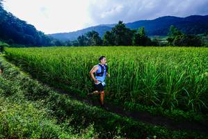 BIB: 
                            <button type="button" onclick="openModal(25037975)" class="btn btn-primary btn-sm float-right btn-popup" data-toggle="modal" data-target=".modal-high-quality">
                        <i class="fas fa-shopping-cart"></i> Add to Cart
                    </button>
                                            <button type="button" onclick="isThisMe(25037975, true)" class="btn btn-success btn-sm float-right btn-popup btn-isme hidden" data-toggle="tooltip" data-placement="bottom" title="นี่คือรูปของคุณใช่ไหม คลิกที่นี่เพื่อเอาเข้าอัลบั้ม">
                        <i class="fas fa-plus"></i> Add to album
                    </button>
                    <button type="button" onclick="isThisMe(25037975, false)" class="btn btn-warning btn-sm float-right btn-popup btn-isnotme hidden">
                        <i class="fas fa-ban"></i> Remove from album
                    </button>