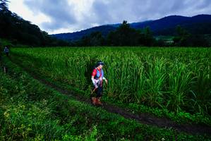 BIB: 
                            <button type="button" onclick="openModal(25039051)" class="btn btn-primary btn-sm float-right btn-popup" data-toggle="modal" data-target=".modal-high-quality">
                        <i class="fas fa-shopping-cart"></i> Add to Cart
                    </button>
                                            <button type="button" onclick="isThisMe(25039051, true)" class="btn btn-success btn-sm float-right btn-popup btn-isme hidden" data-toggle="tooltip" data-placement="bottom" title="นี่คือรูปของคุณใช่ไหม คลิกที่นี่เพื่อเอาเข้าอัลบั้ม">
                        <i class="fas fa-plus"></i> Add to album
                    </button>
                    <button type="button" onclick="isThisMe(25039051, false)" class="btn btn-warning btn-sm float-right btn-popup btn-isnotme hidden">
                        <i class="fas fa-ban"></i> Remove from album
                    </button>