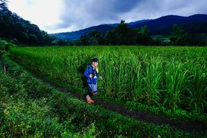 BIB: 
                            <button type="button" onclick="openModal(25038997)" class="btn btn-primary btn-sm float-right btn-popup" data-toggle="modal" data-target=".modal-high-quality">
                        <i class="fas fa-shopping-cart"></i> Add to Cart
                    </button>
                                            <button type="button" onclick="isThisMe(25038997, true)" class="btn btn-success btn-sm float-right btn-popup btn-isme hidden" data-toggle="tooltip" data-placement="bottom" title="นี่คือรูปของคุณใช่ไหม คลิกที่นี่เพื่อเอาเข้าอัลบั้ม">
                        <i class="fas fa-plus"></i> Add to album
                    </button>
                    <button type="button" onclick="isThisMe(25038997, false)" class="btn btn-warning btn-sm float-right btn-popup btn-isnotme hidden">
                        <i class="fas fa-ban"></i> Remove from album
                    </button>