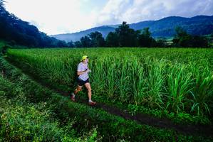 BIB: 
                            <button type="button" onclick="openModal(25037634)" class="btn btn-primary btn-sm float-right btn-popup" data-toggle="modal" data-target=".modal-high-quality">
                        <i class="fas fa-shopping-cart"></i> Add to Cart
                    </button>
                                            <button type="button" onclick="isThisMe(25037634, true)" class="btn btn-success btn-sm float-right btn-popup btn-isme hidden" data-toggle="tooltip" data-placement="bottom" title="นี่คือรูปของคุณใช่ไหม คลิกที่นี่เพื่อเอาเข้าอัลบั้ม">
                        <i class="fas fa-plus"></i> Add to album
                    </button>
                    <button type="button" onclick="isThisMe(25037634, false)" class="btn btn-warning btn-sm float-right btn-popup btn-isnotme hidden">
                        <i class="fas fa-ban"></i> Remove from album
                    </button>