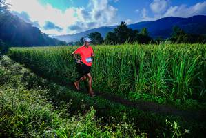 BIB: 
                            <button type="button" onclick="openModal(25037571)" class="btn btn-primary btn-sm float-right btn-popup" data-toggle="modal" data-target=".modal-high-quality">
                        <i class="fas fa-shopping-cart"></i> Add to Cart
                    </button>
                                            <button type="button" onclick="isThisMe(25037571, true)" class="btn btn-success btn-sm float-right btn-popup btn-isme hidden" data-toggle="tooltip" data-placement="bottom" title="นี่คือรูปของคุณใช่ไหม คลิกที่นี่เพื่อเอาเข้าอัลบั้ม">
                        <i class="fas fa-plus"></i> Add to album
                    </button>
                    <button type="button" onclick="isThisMe(25037571, false)" class="btn btn-warning btn-sm float-right btn-popup btn-isnotme hidden">
                        <i class="fas fa-ban"></i> Remove from album
                    </button>