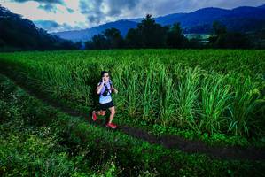 BIB: 
                            <button type="button" onclick="openModal(25037581)" class="btn btn-primary btn-sm float-right btn-popup" data-toggle="modal" data-target=".modal-high-quality">
                        <i class="fas fa-shopping-cart"></i> Add to Cart
                    </button>
                                            <button type="button" onclick="isThisMe(25037581, true)" class="btn btn-success btn-sm float-right btn-popup btn-isme hidden" data-toggle="tooltip" data-placement="bottom" title="นี่คือรูปของคุณใช่ไหม คลิกที่นี่เพื่อเอาเข้าอัลบั้ม">
                        <i class="fas fa-plus"></i> Add to album
                    </button>
                    <button type="button" onclick="isThisMe(25037581, false)" class="btn btn-warning btn-sm float-right btn-popup btn-isnotme hidden">
                        <i class="fas fa-ban"></i> Remove from album
                    </button>