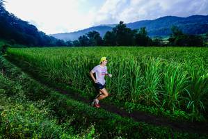 BIB: 
                            <button type="button" onclick="openModal(25037633)" class="btn btn-primary btn-sm float-right btn-popup" data-toggle="modal" data-target=".modal-high-quality">
                        <i class="fas fa-shopping-cart"></i> Add to Cart
                    </button>
                                            <button type="button" onclick="isThisMe(25037633, true)" class="btn btn-success btn-sm float-right btn-popup btn-isme hidden" data-toggle="tooltip" data-placement="bottom" title="นี่คือรูปของคุณใช่ไหม คลิกที่นี่เพื่อเอาเข้าอัลบั้ม">
                        <i class="fas fa-plus"></i> Add to album
                    </button>
                    <button type="button" onclick="isThisMe(25037633, false)" class="btn btn-warning btn-sm float-right btn-popup btn-isnotme hidden">
                        <i class="fas fa-ban"></i> Remove from album
                    </button>