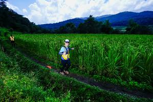 BIB: 
                            <button type="button" onclick="openModal(25039269)" class="btn btn-primary btn-sm float-right btn-popup" data-toggle="modal" data-target=".modal-high-quality">
                        <i class="fas fa-shopping-cart"></i> Add to Cart
                    </button>
                                            <button type="button" onclick="isThisMe(25039269, true)" class="btn btn-success btn-sm float-right btn-popup btn-isme hidden" data-toggle="tooltip" data-placement="bottom" title="นี่คือรูปของคุณใช่ไหม คลิกที่นี่เพื่อเอาเข้าอัลบั้ม">
                        <i class="fas fa-plus"></i> Add to album
                    </button>
                    <button type="button" onclick="isThisMe(25039269, false)" class="btn btn-warning btn-sm float-right btn-popup btn-isnotme hidden">
                        <i class="fas fa-ban"></i> Remove from album
                    </button>