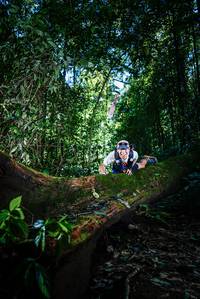 BIB: 
                            <button type="button" onclick="openModal(25039391)" class="btn btn-primary btn-sm float-right btn-popup" data-toggle="modal" data-target=".modal-high-quality">
                        <i class="fas fa-shopping-cart"></i> Add to Cart
                    </button>
                                            <button type="button" onclick="isThisMe(25039391, true)" class="btn btn-success btn-sm float-right btn-popup btn-isme hidden" data-toggle="tooltip" data-placement="bottom" title="นี่คือรูปของคุณใช่ไหม คลิกที่นี่เพื่อเอาเข้าอัลบั้ม">
                        <i class="fas fa-plus"></i> Add to album
                    </button>
                    <button type="button" onclick="isThisMe(25039391, false)" class="btn btn-warning btn-sm float-right btn-popup btn-isnotme hidden">
                        <i class="fas fa-ban"></i> Remove from album
                    </button>