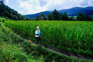 BIB: 
                            <button type="button" onclick="openModal(25039250)" class="btn btn-primary btn-sm float-right btn-popup" data-toggle="modal" data-target=".modal-high-quality">
                        <i class="fas fa-shopping-cart"></i> Add to Cart
                    </button>
                                            <button type="button" onclick="isThisMe(25039250, true)" class="btn btn-success btn-sm float-right btn-popup btn-isme hidden" data-toggle="tooltip" data-placement="bottom" title="นี่คือรูปของคุณใช่ไหม คลิกที่นี่เพื่อเอาเข้าอัลบั้ม">
                        <i class="fas fa-plus"></i> Add to album
                    </button>
                    <button type="button" onclick="isThisMe(25039250, false)" class="btn btn-warning btn-sm float-right btn-popup btn-isnotme hidden">
                        <i class="fas fa-ban"></i> Remove from album
                    </button>