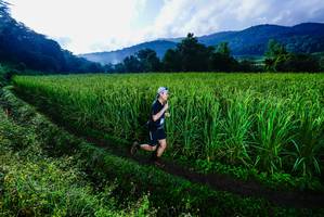 BIB: 
                            <button type="button" onclick="openModal(25037607)" class="btn btn-primary btn-sm float-right btn-popup" data-toggle="modal" data-target=".modal-high-quality">
                        <i class="fas fa-shopping-cart"></i> Add to Cart
                    </button>
                                            <button type="button" onclick="isThisMe(25037607, true)" class="btn btn-success btn-sm float-right btn-popup btn-isme hidden" data-toggle="tooltip" data-placement="bottom" title="นี่คือรูปของคุณใช่ไหม คลิกที่นี่เพื่อเอาเข้าอัลบั้ม">
                        <i class="fas fa-plus"></i> Add to album
                    </button>
                    <button type="button" onclick="isThisMe(25037607, false)" class="btn btn-warning btn-sm float-right btn-popup btn-isnotme hidden">
                        <i class="fas fa-ban"></i> Remove from album
                    </button>