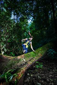 BIB: 
                            <button type="button" onclick="openModal(25039656)" class="btn btn-primary btn-sm float-right btn-popup" data-toggle="modal" data-target=".modal-high-quality">
                        <i class="fas fa-shopping-cart"></i> Add to Cart
                    </button>
                                            <button type="button" onclick="isThisMe(25039656, true)" class="btn btn-success btn-sm float-right btn-popup btn-isme hidden" data-toggle="tooltip" data-placement="bottom" title="นี่คือรูปของคุณใช่ไหม คลิกที่นี่เพื่อเอาเข้าอัลบั้ม">
                        <i class="fas fa-plus"></i> Add to album
                    </button>
                    <button type="button" onclick="isThisMe(25039656, false)" class="btn btn-warning btn-sm float-right btn-popup btn-isnotme hidden">
                        <i class="fas fa-ban"></i> Remove from album
                    </button>