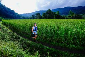 BIB: 
                            <button type="button" onclick="openModal(25037969)" class="btn btn-primary btn-sm float-right btn-popup" data-toggle="modal" data-target=".modal-high-quality">
                        <i class="fas fa-shopping-cart"></i> Add to Cart
                    </button>
                                            <button type="button" onclick="isThisMe(25037969, true)" class="btn btn-success btn-sm float-right btn-popup btn-isme hidden" data-toggle="tooltip" data-placement="bottom" title="นี่คือรูปของคุณใช่ไหม คลิกที่นี่เพื่อเอาเข้าอัลบั้ม">
                        <i class="fas fa-plus"></i> Add to album
                    </button>
                    <button type="button" onclick="isThisMe(25037969, false)" class="btn btn-warning btn-sm float-right btn-popup btn-isnotme hidden">
                        <i class="fas fa-ban"></i> Remove from album
                    </button>