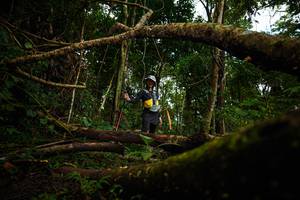 BIB: 
                            <button type="button" onclick="openModal(25026959)" class="btn btn-primary btn-sm float-right btn-popup" data-toggle="modal" data-target=".modal-high-quality">
                        <i class="fas fa-shopping-cart"></i> Add to Cart
                    </button>
                                            <button type="button" onclick="isThisMe(25026959, true)" class="btn btn-success btn-sm float-right btn-popup btn-isme hidden" data-toggle="tooltip" data-placement="bottom" title="นี่คือรูปของคุณใช่ไหม คลิกที่นี่เพื่อเอาเข้าอัลบั้ม">
                        <i class="fas fa-plus"></i> Add to album
                    </button>
                    <button type="button" onclick="isThisMe(25026959, false)" class="btn btn-warning btn-sm float-right btn-popup btn-isnotme hidden">
                        <i class="fas fa-ban"></i> Remove from album
                    </button>